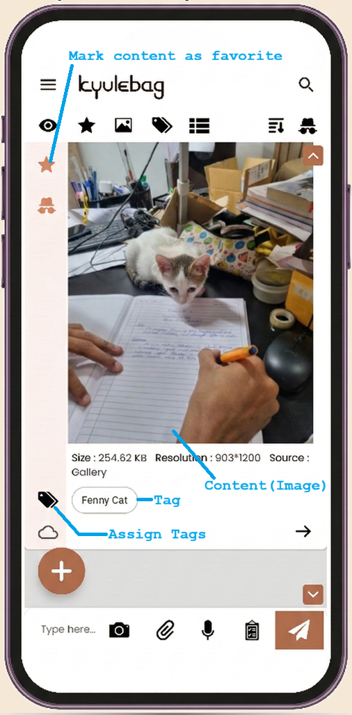 Pro-Level Organization View 2